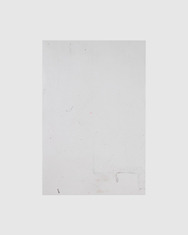THE MONOPRINT PROJECT