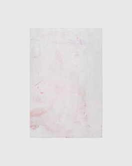 THE MONOPRINT PROJECT