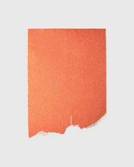 THE MONOPRINT PROJECT