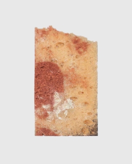 THE MONOPRINT PROJECT