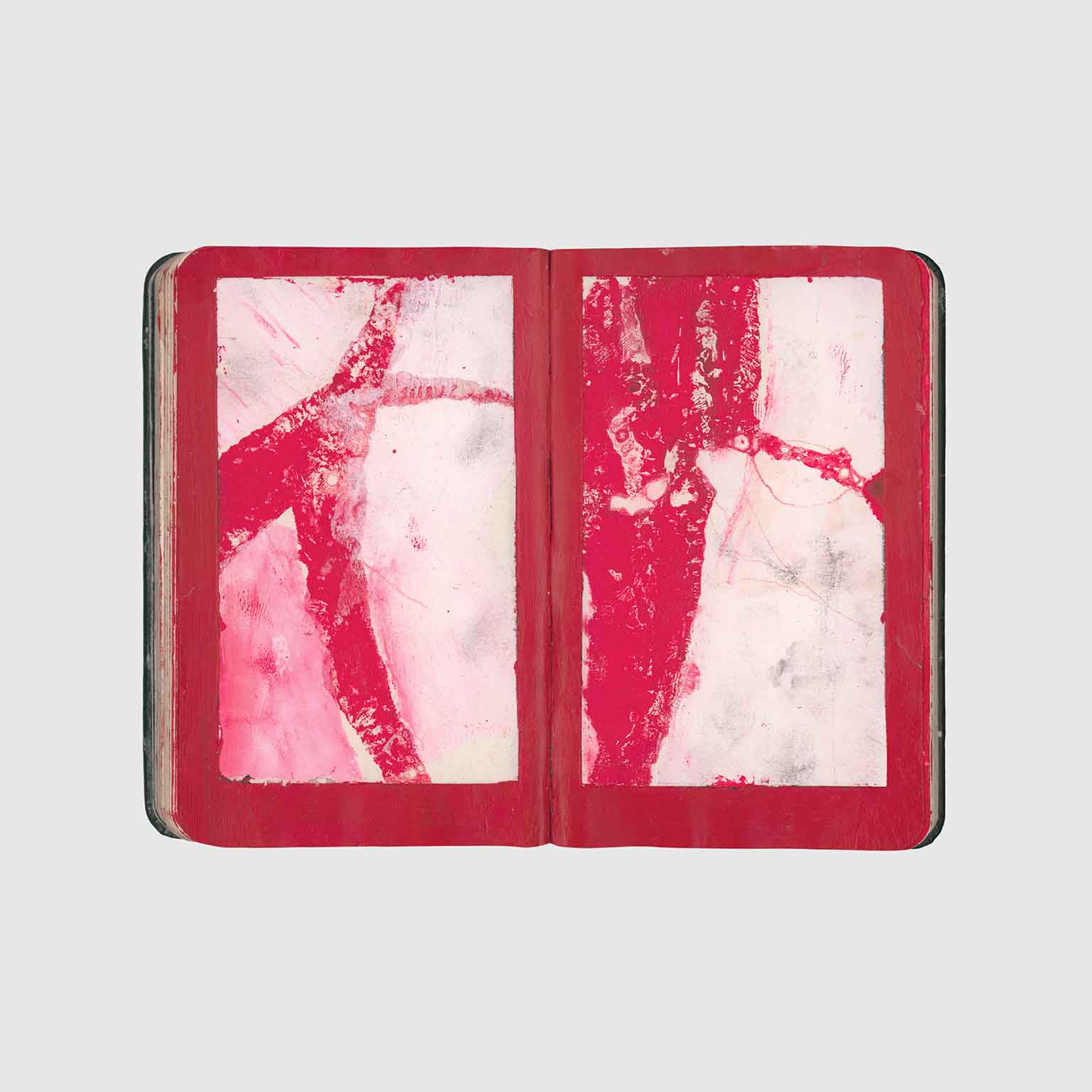 THE MONOPRINT PROJECT