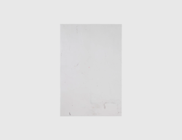 THE MONOPRINT PROJECT