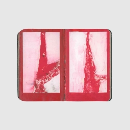 THE MONOPRINT PROJECT