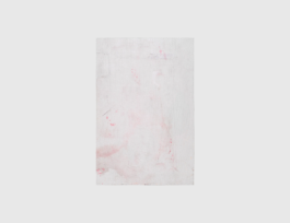 THE MONOPRINT PROJECT