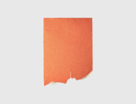 THE MONOPRINT PROJECT