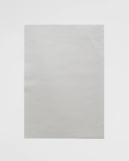 THE MONOPRINT PROJECT