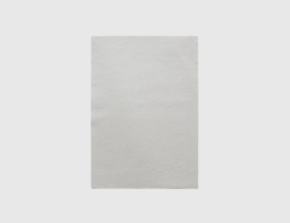THE MONOPRINT PROJECT