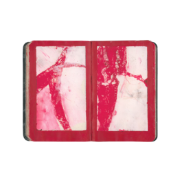 THE MONOPRINT PROJECT