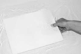 THE&ensp;MONOPRINT&ensp;PROJECT